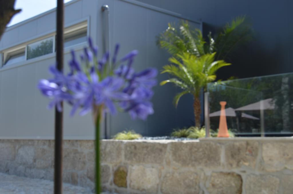巴塞卢什Quinta Das Tulipas别墅 外观 照片