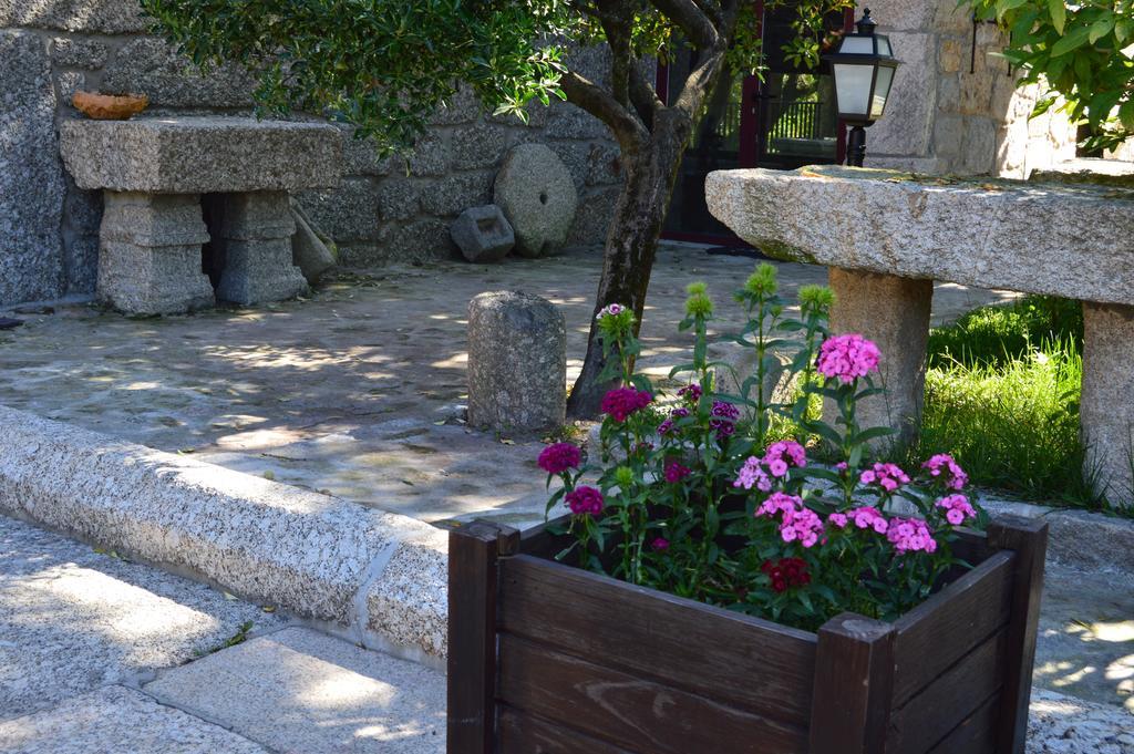 巴塞卢什Quinta Das Tulipas别墅 外观 照片